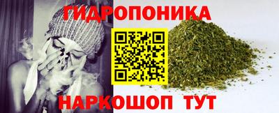 скорость Бийск