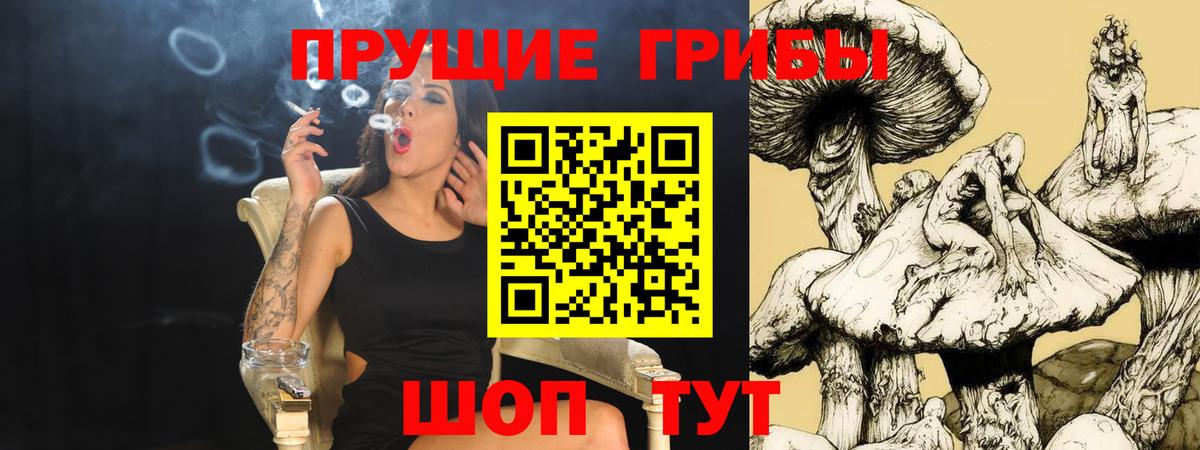 Галлюциногенные грибы Cubensis  хочу   Асбест  Вход с VPN  Галлюциногенные грибы мицелий 