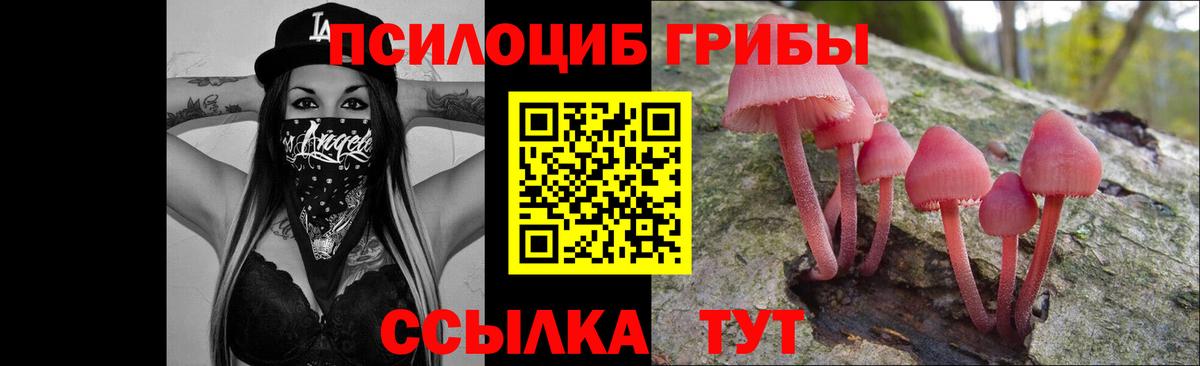 Псилоцибиновые грибы MAGIC MUSHROOMS Асбест